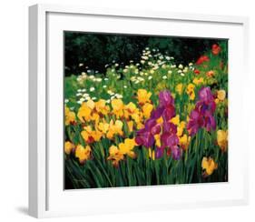 Iris-Liliane Fournier-Framed Art Print