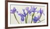 Iris-Elena Dolci-Framed Art Print