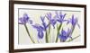 Iris-Elena Dolci-Framed Art Print