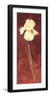 Iris-John Clayton-Framed Art Print