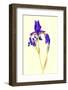 Iris-B-D-S-Framed Photographic Print