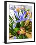 Iris-Charles Bowman-Framed Photographic Print