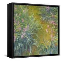 Iris-Claude Monet-Framed Stretched Canvas