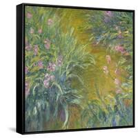 Iris-Claude Monet-Framed Stretched Canvas