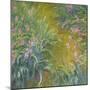 Iris-Claude Monet-Mounted Premium Giclee Print