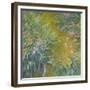 Iris-Claude Monet-Framed Giclee Print