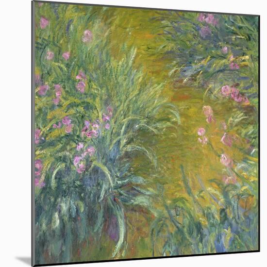 Iris-Claude Monet-Mounted Giclee Print