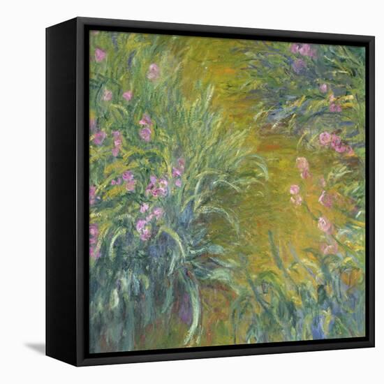 Iris-Claude Monet-Framed Stretched Canvas