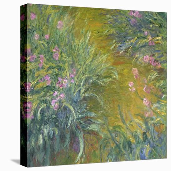 Iris-Claude Monet-Stretched Canvas