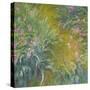 Iris-Claude Monet-Stretched Canvas