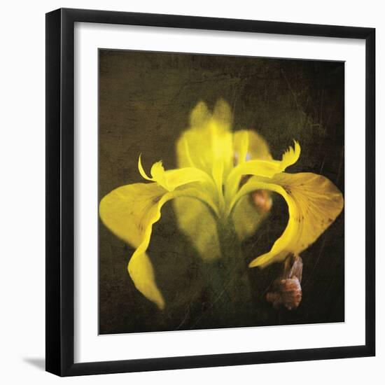 iris-Viviane Fedieu Danielle-Framed Premium Photographic Print