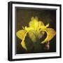 iris-Viviane Fedieu Danielle-Framed Premium Photographic Print