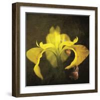 iris-Viviane Fedieu Danielle-Framed Photographic Print