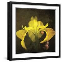 iris-Viviane Fedieu Danielle-Framed Photographic Print