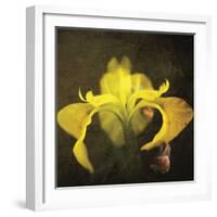 iris-Viviane Fedieu Danielle-Framed Photographic Print