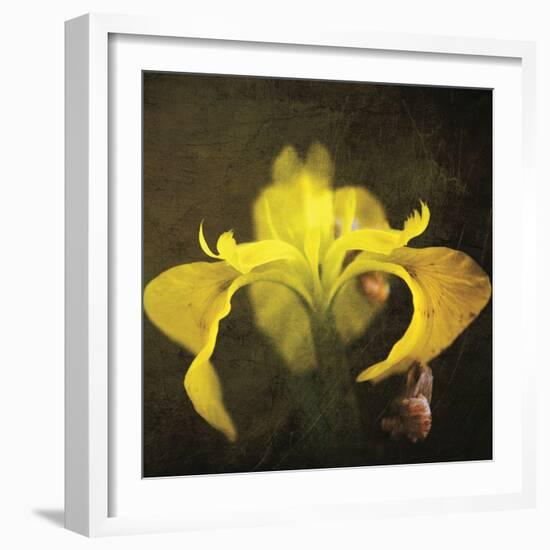 iris-Viviane Fedieu Danielle-Framed Photographic Print