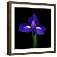 iris-Magda Indigo-Framed Photographic Print