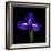 iris-Magda Indigo-Framed Photographic Print