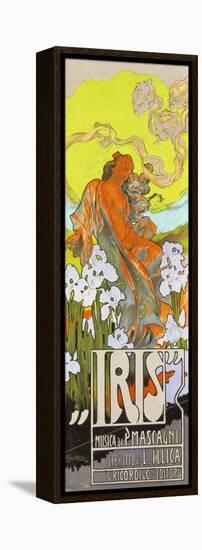 Iris-Adolfo Hohenstein-Framed Stretched Canvas