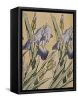 Iris-Koloman Moser-Framed Stretched Canvas