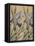 Iris-Koloman Moser-Framed Stretched Canvas