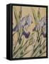 Iris-Koloman Moser-Framed Stretched Canvas