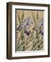 Iris-Koloman Moser-Framed Giclee Print