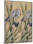 Iris-Koloman Moser-Mounted Giclee Print