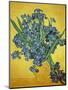 Iris-Vincent van Gogh-Mounted Premium Giclee Print