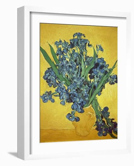 Iris-Vincent van Gogh-Framed Giclee Print