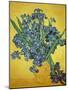 Iris-Vincent van Gogh-Mounted Giclee Print