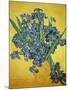 Iris-Vincent van Gogh-Mounted Giclee Print