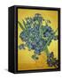 Iris-Vincent van Gogh-Framed Stretched Canvas