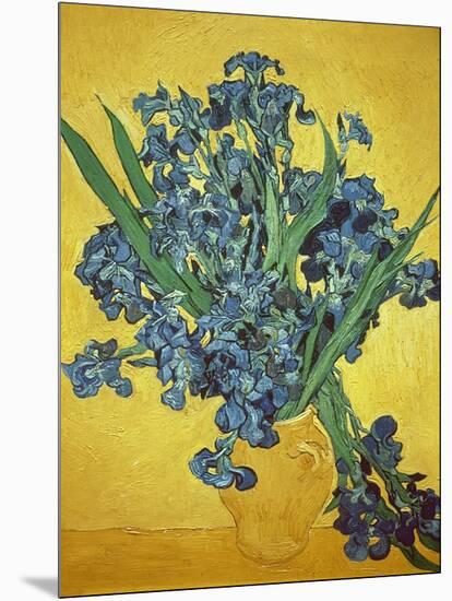 Iris-Vincent van Gogh-Mounted Giclee Print