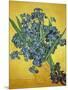 Iris-Vincent van Gogh-Mounted Giclee Print