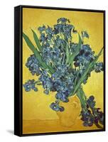 Iris-Vincent van Gogh-Framed Stretched Canvas