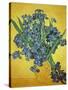 Iris-Vincent van Gogh-Stretched Canvas