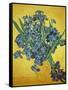 Iris-Vincent van Gogh-Framed Stretched Canvas