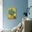 Iris-Vincent van Gogh-Giclee Print displayed on a wall