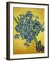 Iris-Vincent van Gogh-Framed Giclee Print