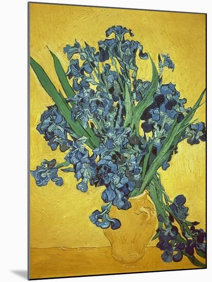 Iris-Vincent van Gogh-Mounted Giclee Print