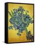 Iris-Vincent van Gogh-Framed Stretched Canvas