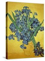 Iris-Vincent van Gogh-Stretched Canvas