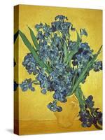 Iris-Vincent van Gogh-Stretched Canvas