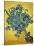 Iris-Vincent van Gogh-Stretched Canvas