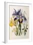 Iris-Jane W. Loudon-Framed Giclee Print