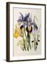 Iris-Jane W. Loudon-Framed Giclee Print