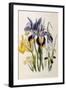 Iris-Jane W. Loudon-Framed Giclee Print