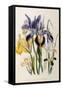 Iris-Jane W. Loudon-Framed Stretched Canvas