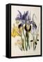 Iris-Jane W. Loudon-Framed Stretched Canvas